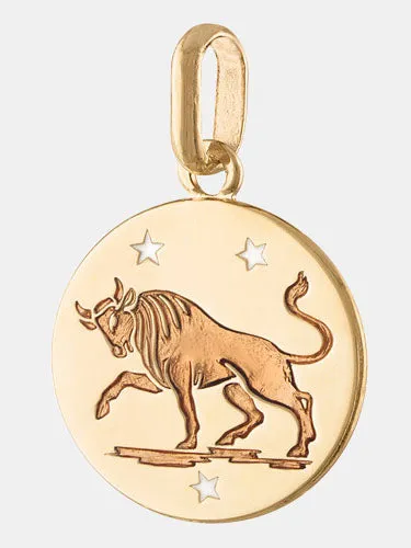 14k Zodiac Pendant