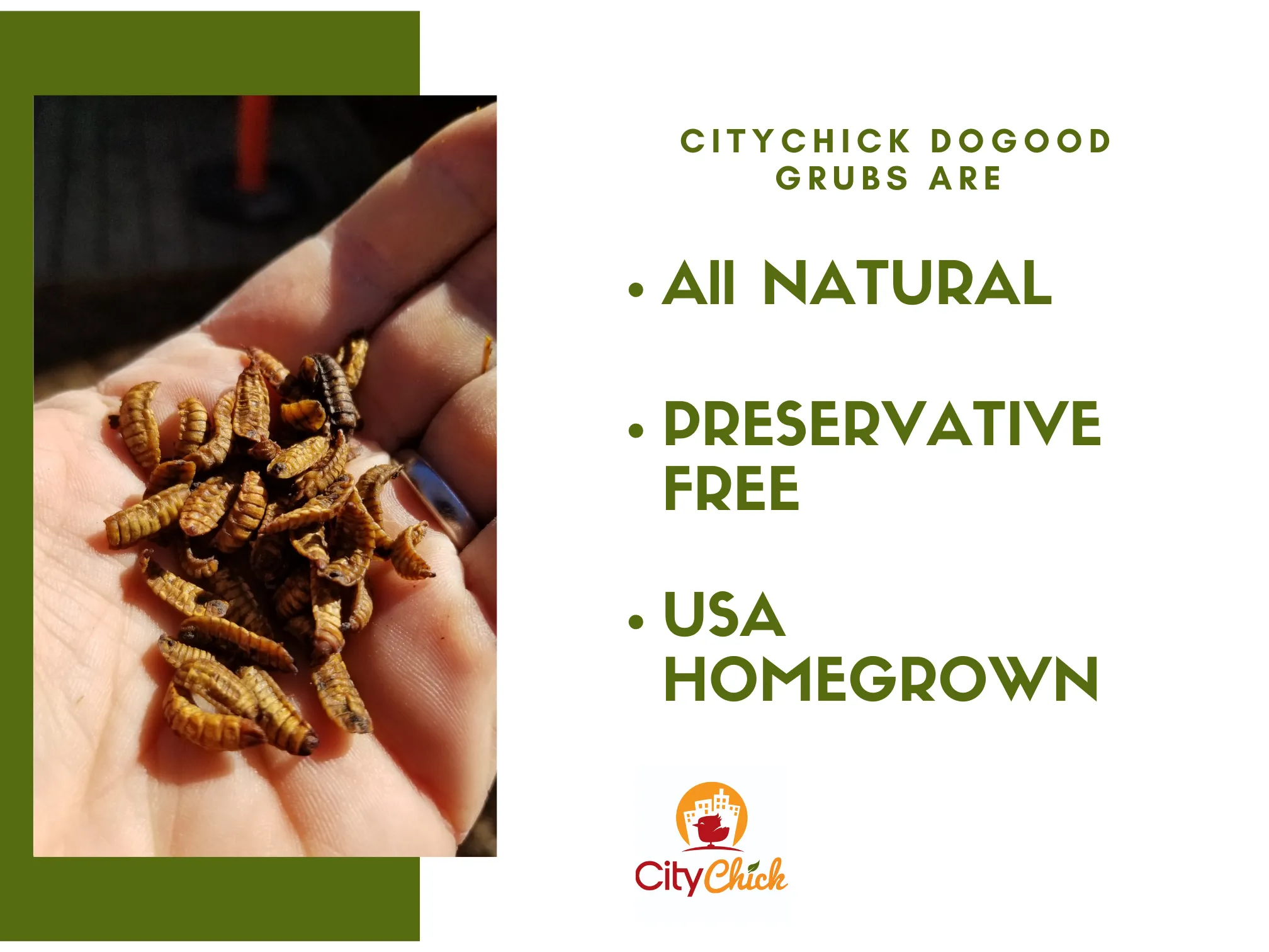 CityChick "DoGood" Grubs - 8 oz bag of Dried Black Soldier Fly larvae