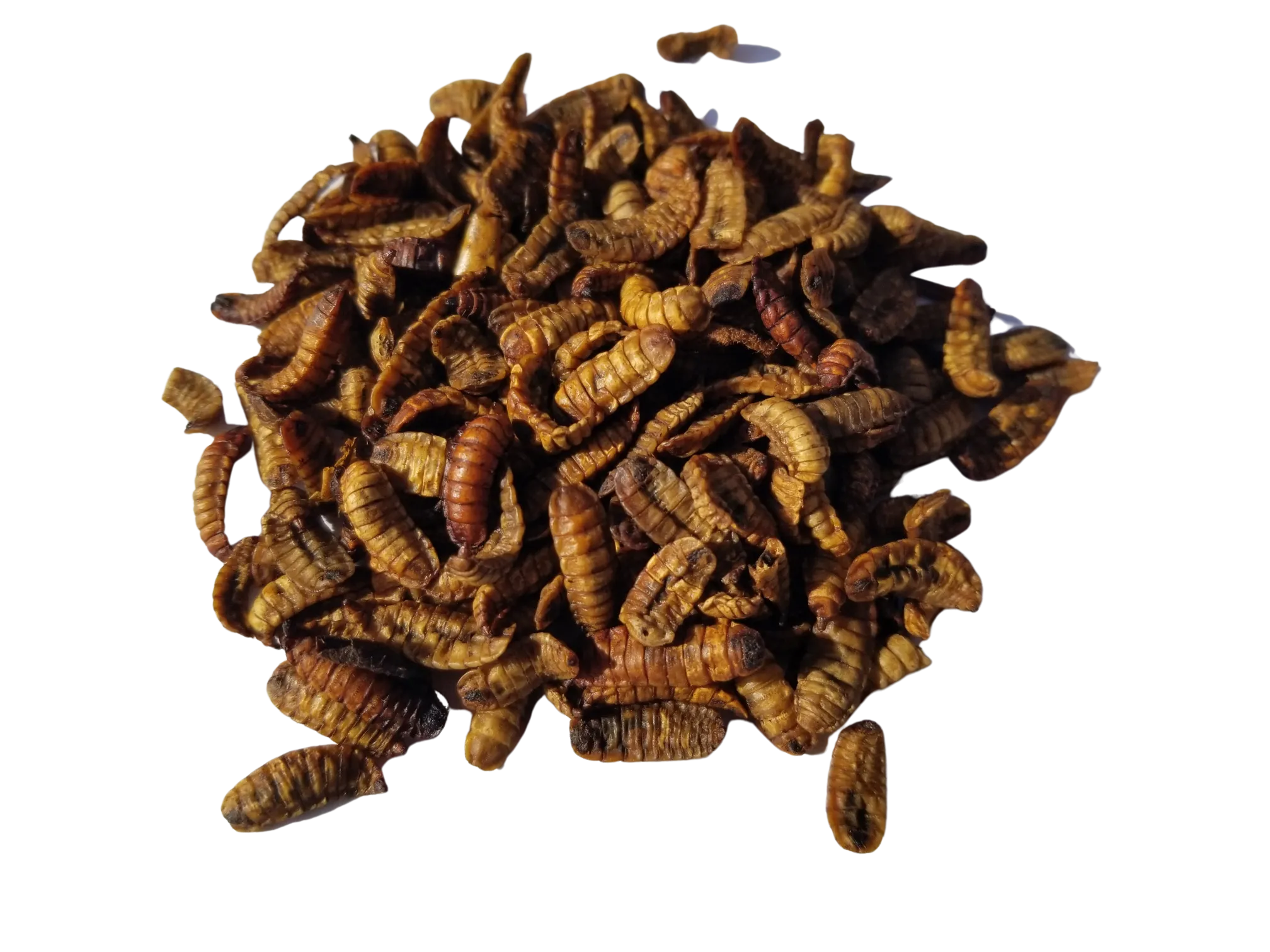 CityChick "DoGood" Grubs - 8 oz bag of Dried Black Soldier Fly larvae