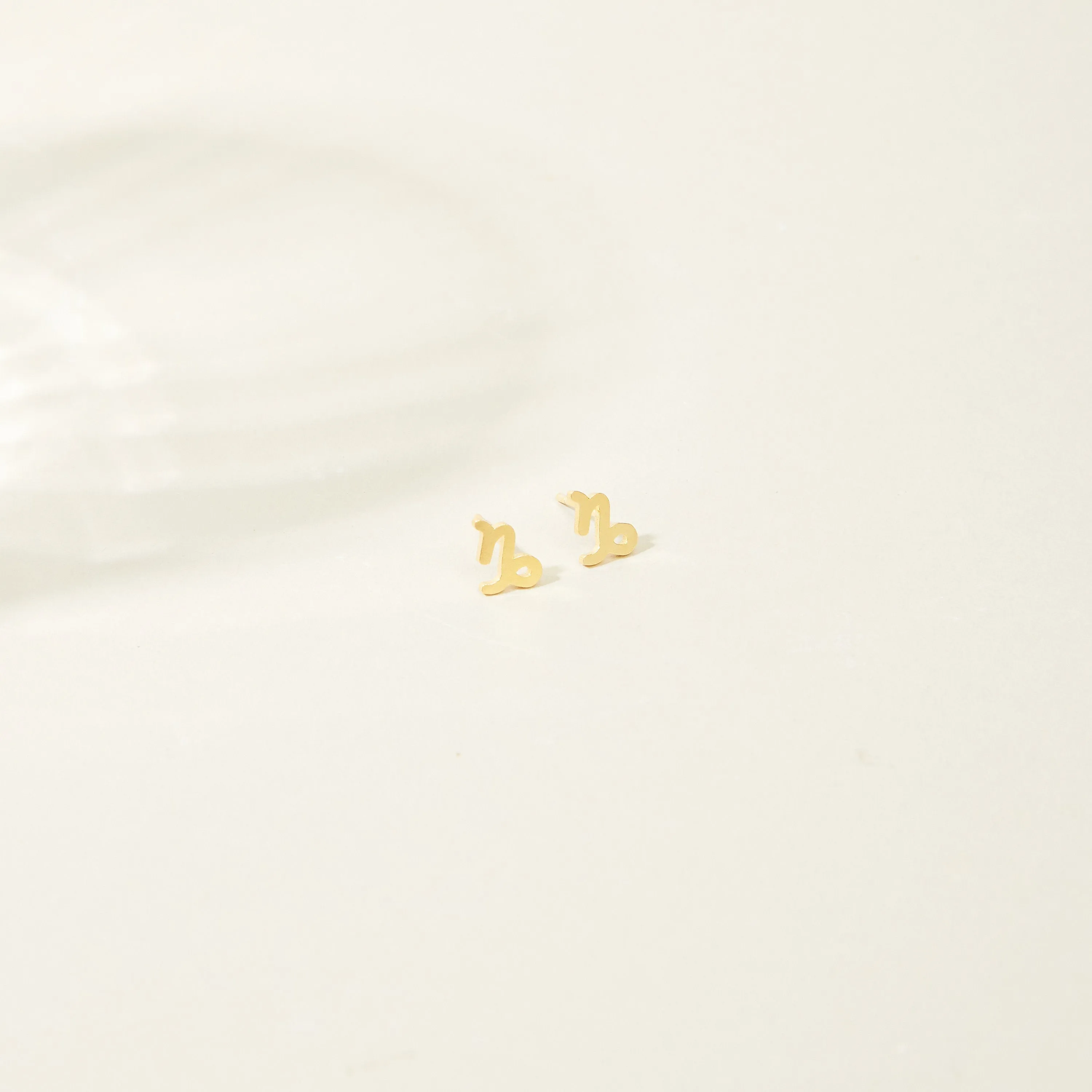 Custom Tiny Zodiac Studs Earrings