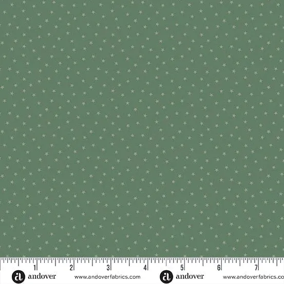 Edyta Sitar | Twinkle | Forest