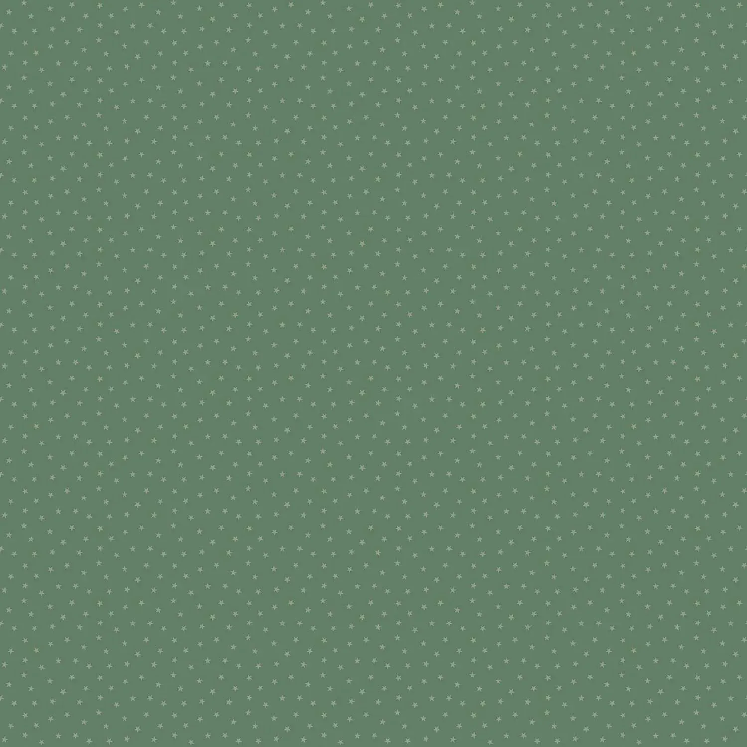 Edyta Sitar | Twinkle | Forest