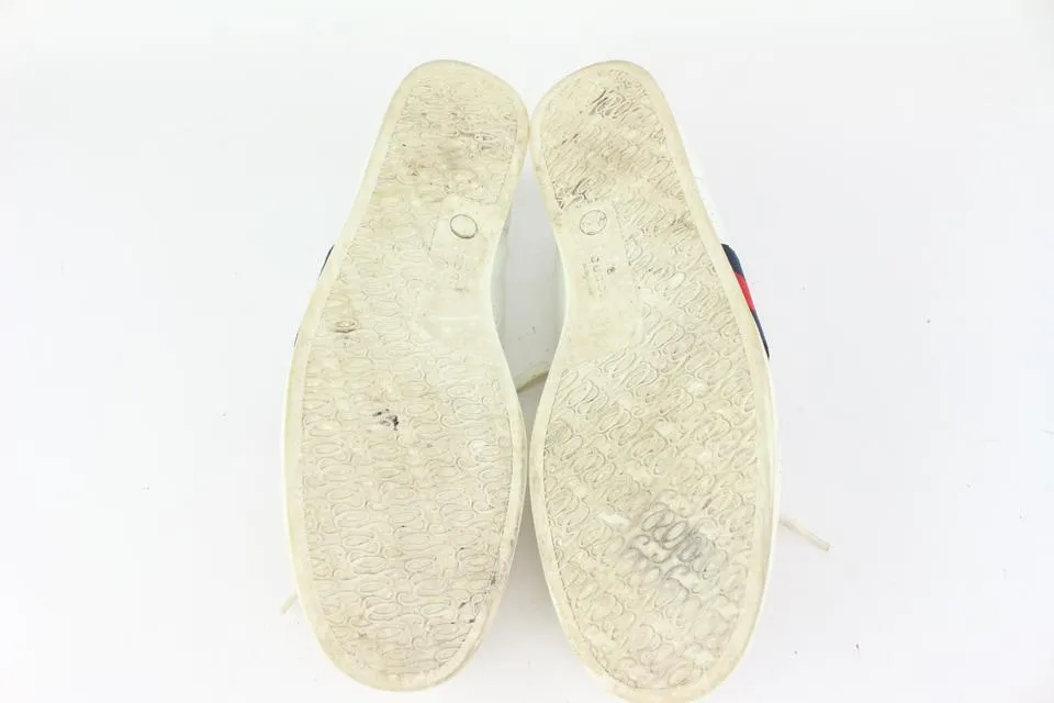 Gucci 192713 Men's US 10 Perforated LEather Web Sneaker 167ggs712