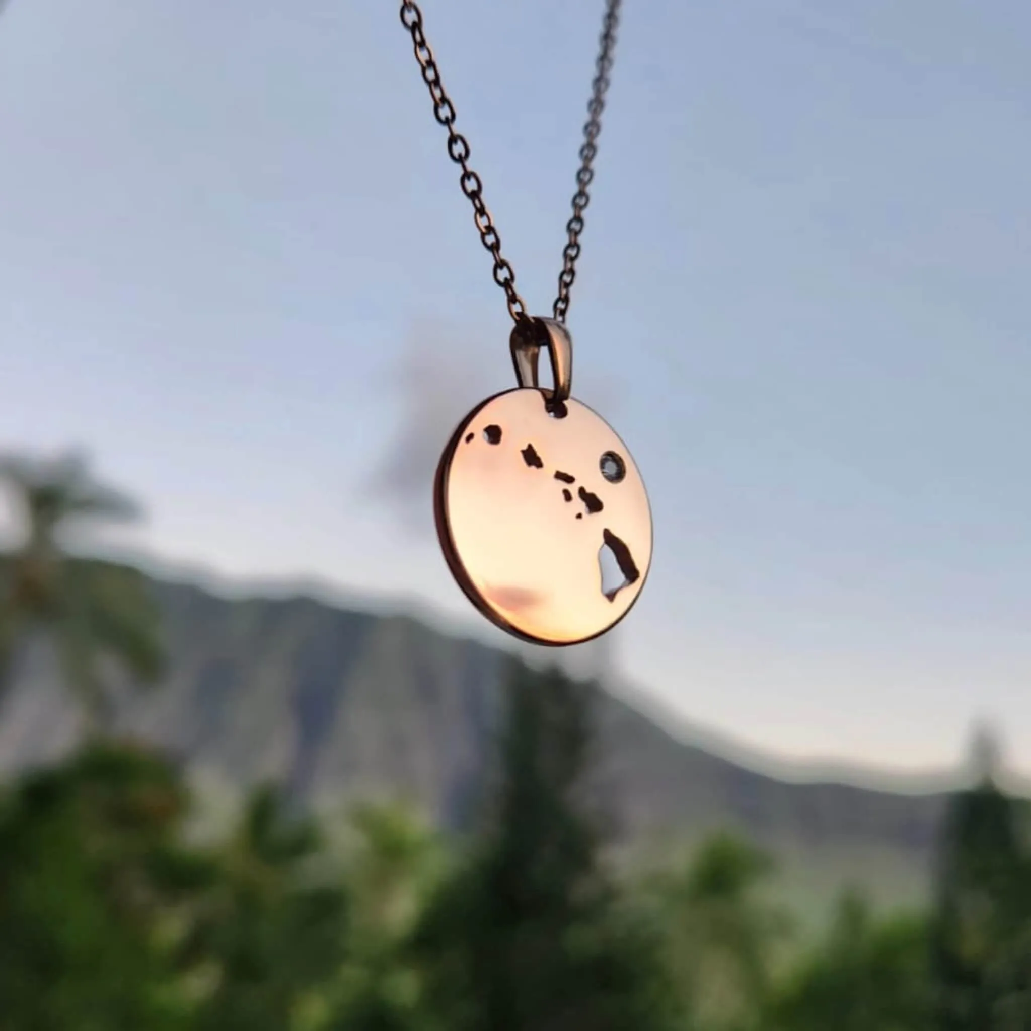 Hawai'i jewelry