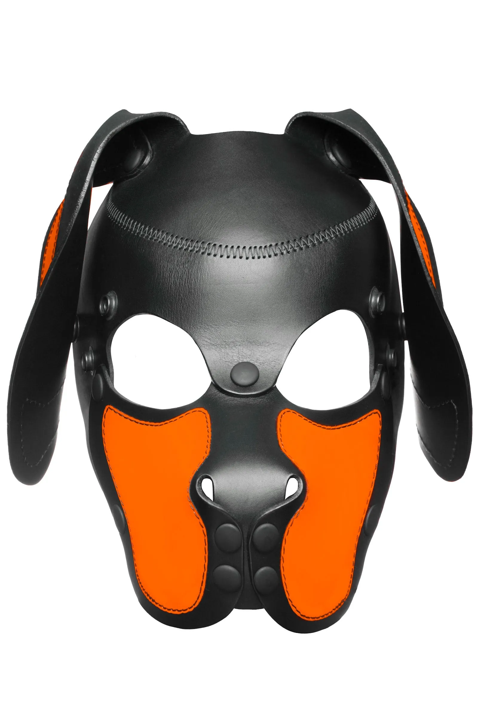 HEAD HARNESS PUP "RANGER" - Fluro Colours
