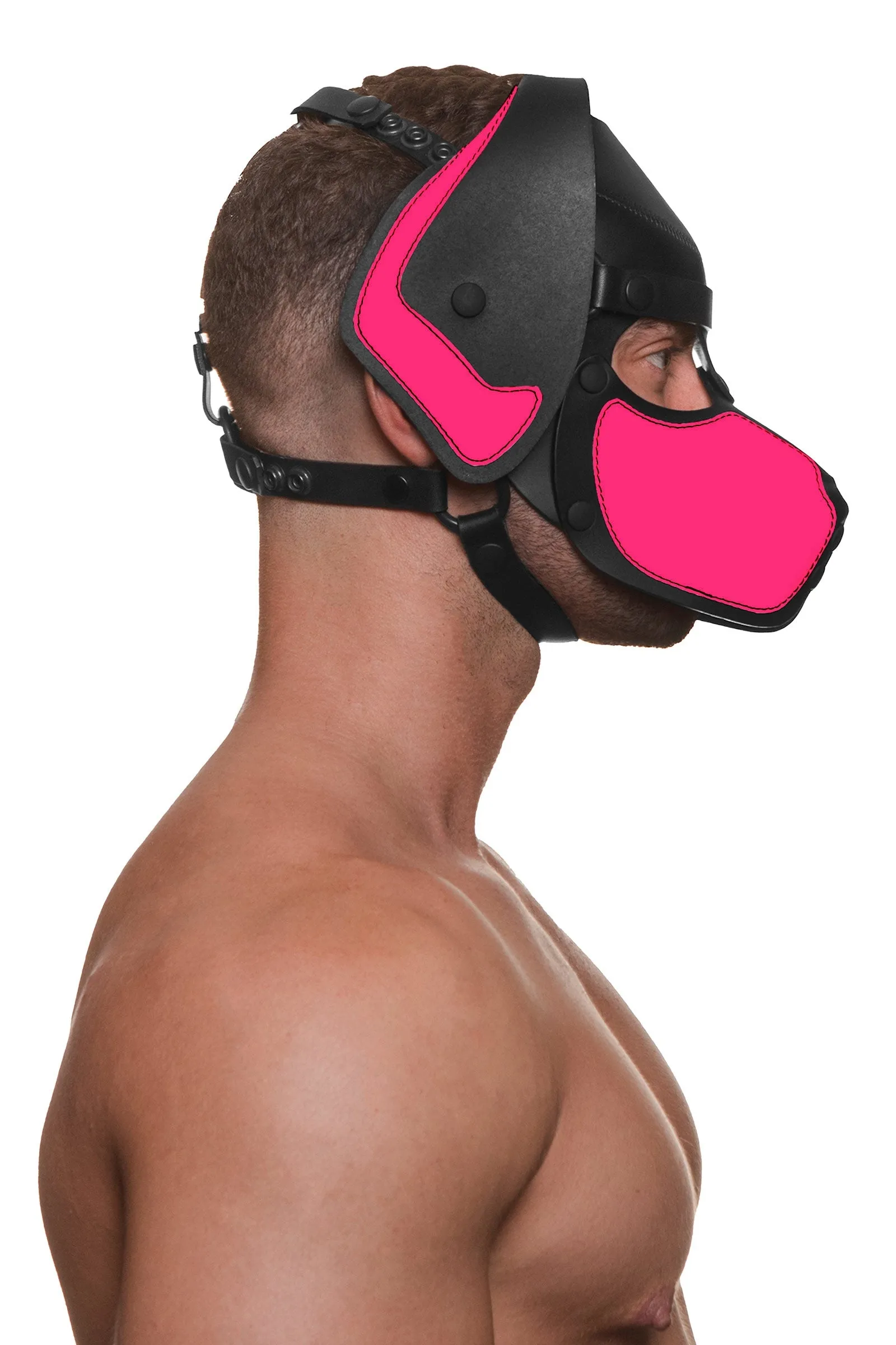 HEAD HARNESS PUP "RANGER" - Fluro Colours