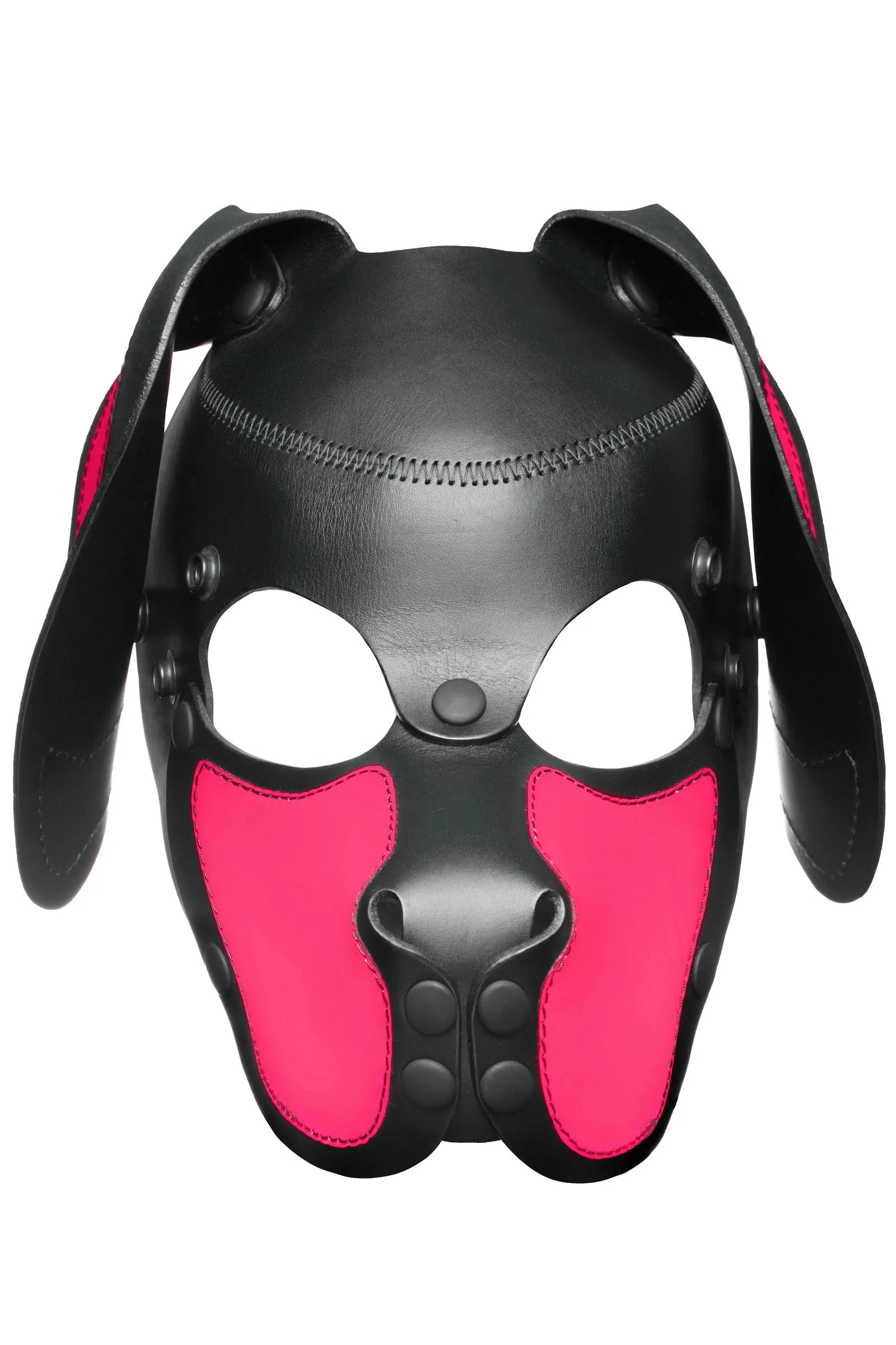 HEAD HARNESS PUP "RANGER" - Fluro Colours