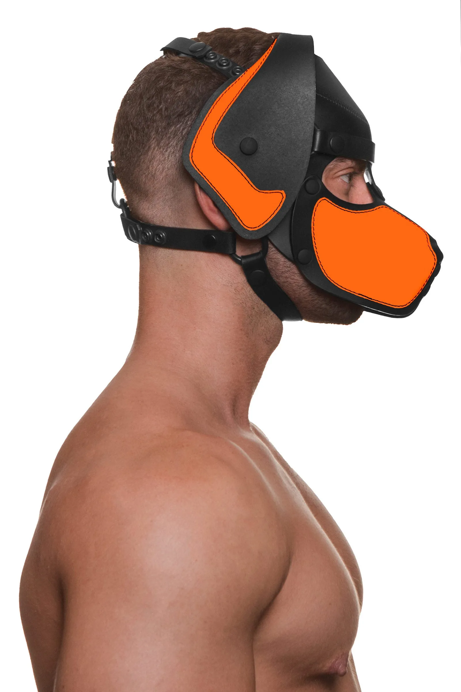 HEAD HARNESS PUP "RANGER" - Fluro Colours
