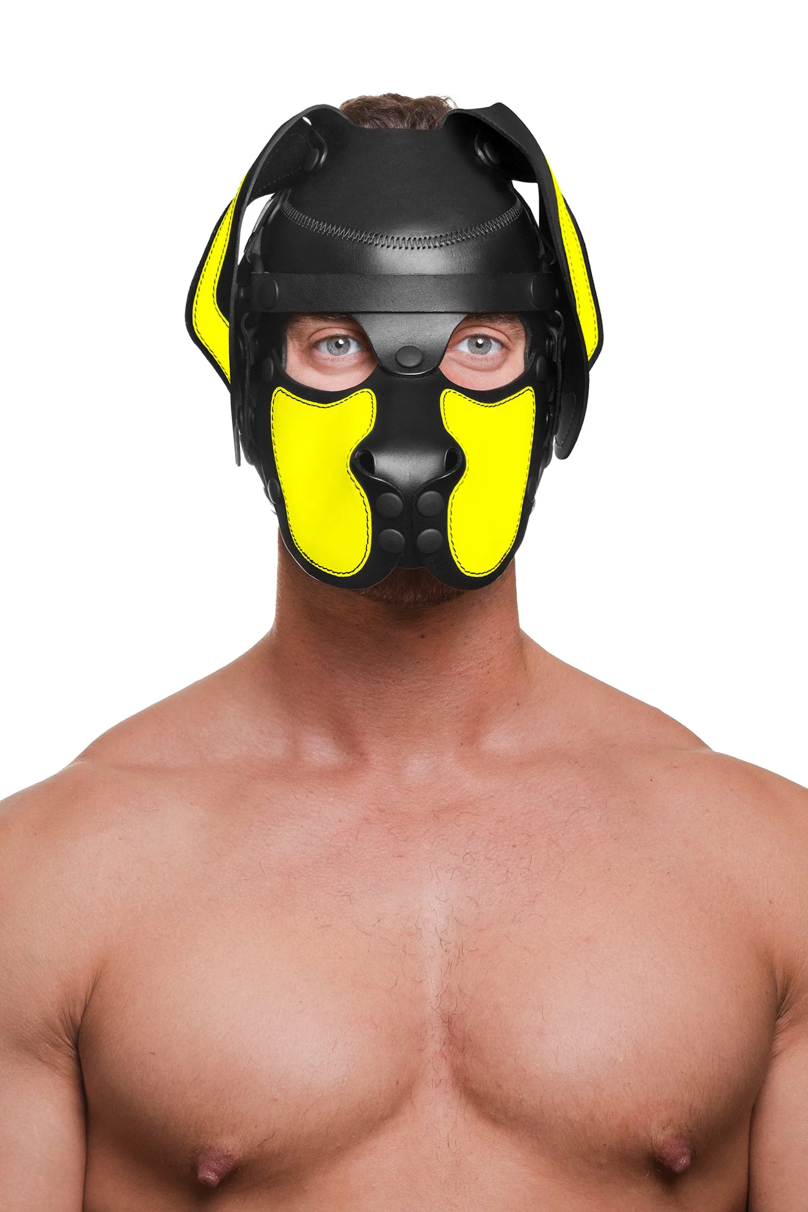 HEAD HARNESS PUP "RANGER" - Fluro Colours