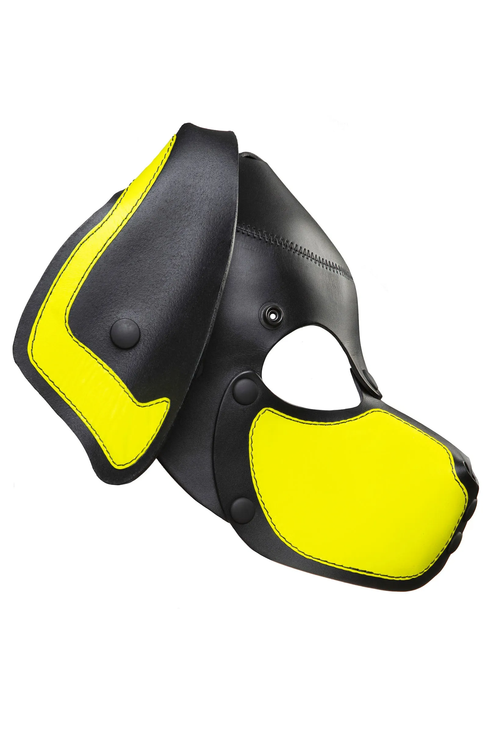 HEAD HARNESS PUP "RANGER" - Fluro Colours
