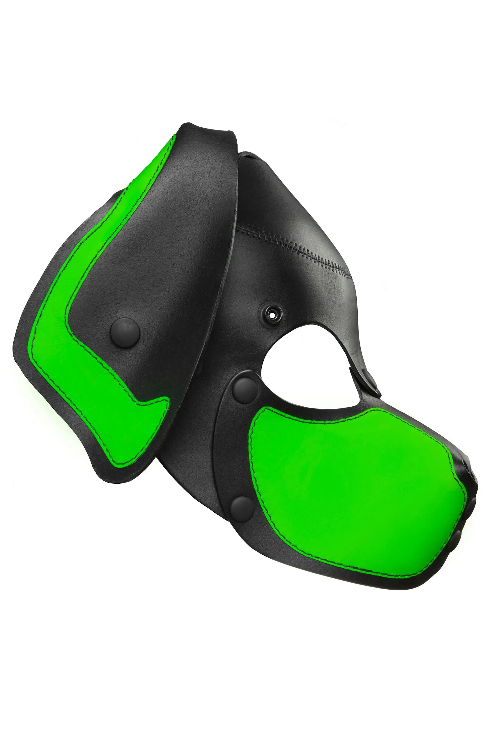 HEAD HARNESS PUP "RANGER" - Fluro Colours