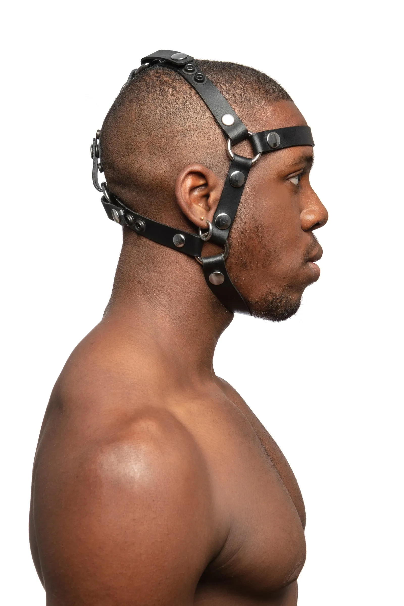 HEAD HARNESS - Stainless Steel