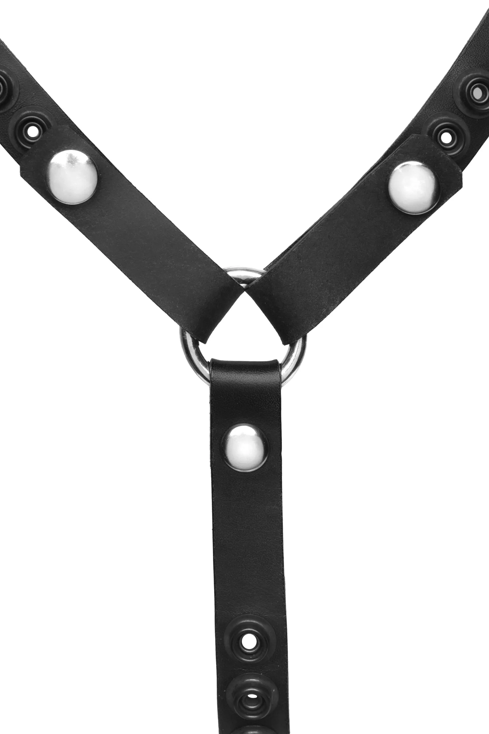 HEAD HARNESS - Stainless Steel