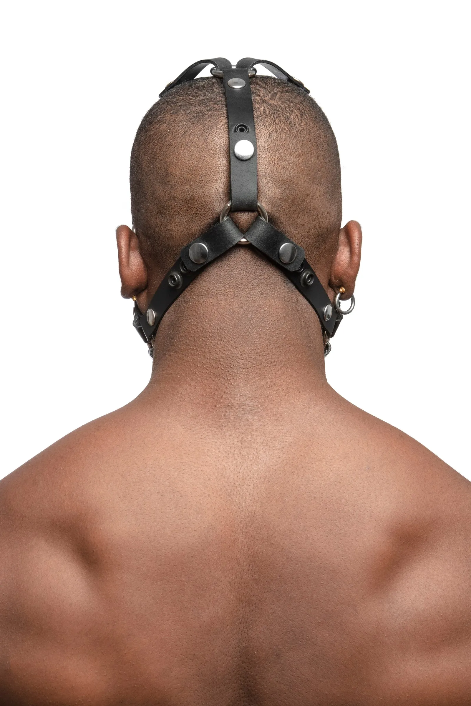 HEAD HARNESS - Stainless Steel