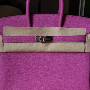 Hermès Birkin 25 Magnolia Togo Palladium Hardware PHW