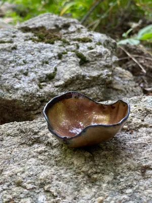 Jewelry Bowl 19