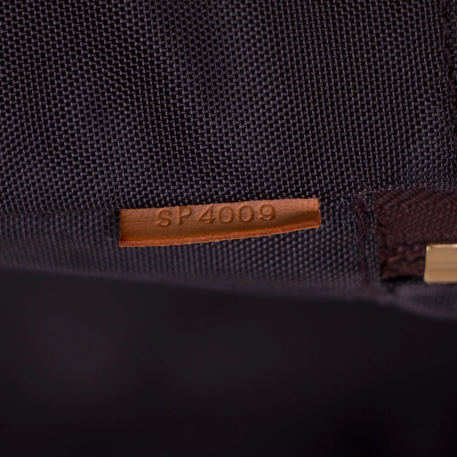 Louis Vuitton Monogram Pégase Légère 45 Travel Bag