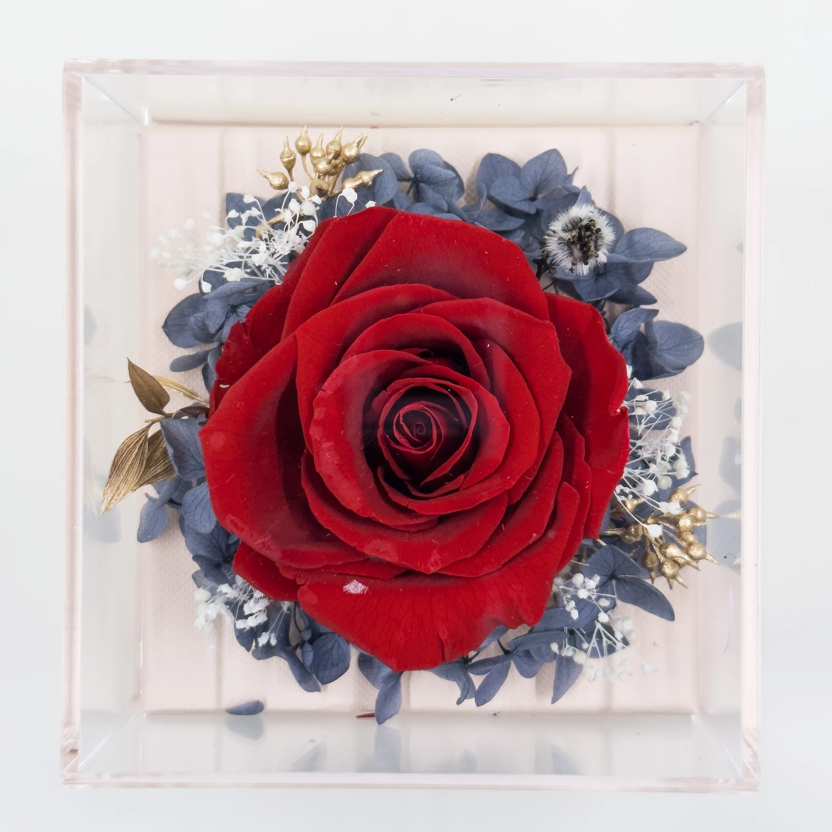 Preserved Rose Jewelry Box