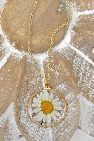 Shasta Daisy Pressed Flower Necklace