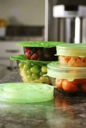 Stretch Lid (Set of 6)